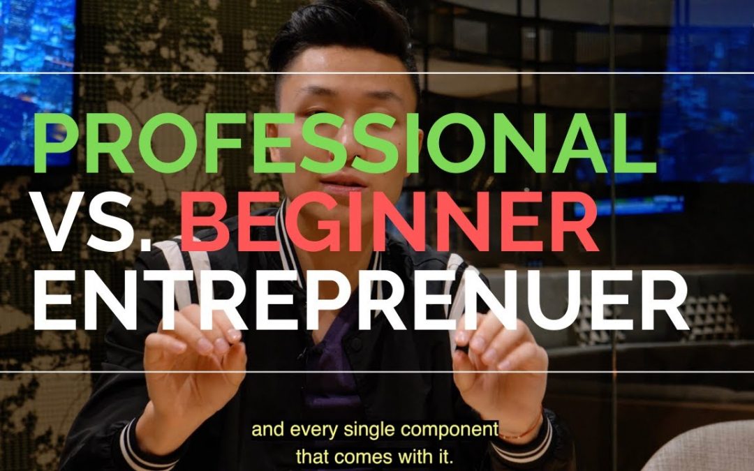 Professional vs. Beginner Entrepreneur