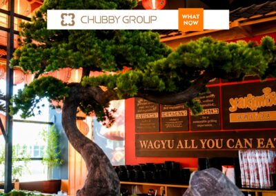 Chubby Cattle Eyes San Diego — Expanding Into One of Southern California’s Fast-Growing Dining Markets